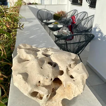 Apartment Porta Modern And Hospitable *